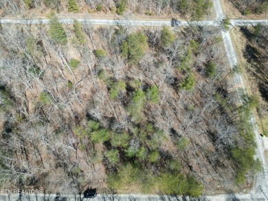 Discover a beautiful wooded level lot on a paved road in Lake on Lake Tansi Village Country Club in Tennessee - for sale on GolfHomes.com, golf home, golf lot