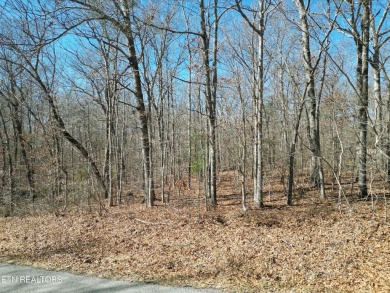 Discover a beautiful wooded level lot on a paved road in Lake on Lake Tansi Village Country Club in Tennessee - for sale on GolfHomes.com, golf home, golf lot