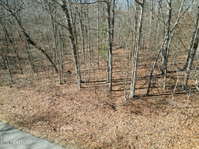 Discover a beautiful wooded level lot on a paved road in Lake on Lake Tansi Village Country Club in Tennessee - for sale on GolfHomes.com, golf home, golf lot