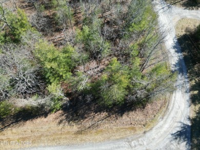 Discover a beautiful wooded level with gentle slopped lot on a on Lake Tansi Village Country Club in Tennessee - for sale on GolfHomes.com, golf home, golf lot