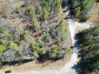 Discover a beautiful wooded level with gentle slopped lot on a on Lake Tansi Village Country Club in Tennessee - for sale on GolfHomes.com, golf home, golf lot