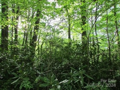 Mountain View is yours from this 1.43 Acre lot. Lot 5, Unit 5 of on Mt. Mitchell Golf Course in North Carolina - for sale on GolfHomes.com, golf home, golf lot
