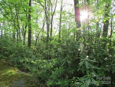 Mountain View is yours from this 1.43 Acre lot. Lot 5, Unit 5 of on Mt. Mitchell Golf Course in North Carolina - for sale on GolfHomes.com, golf home, golf lot