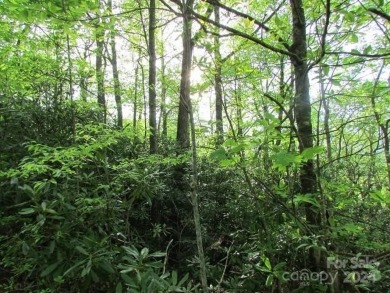 Mountain View is yours from this 1.43 Acre lot. Lot 5, Unit 5 of on Mt. Mitchell Golf Course in North Carolina - for sale on GolfHomes.com, golf home, golf lot