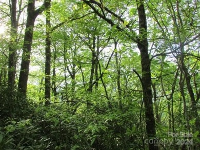 Mountain View is yours from this 1.43 Acre lot. Lot 5, Unit 5 of on Mt. Mitchell Golf Course in North Carolina - for sale on GolfHomes.com, golf home, golf lot