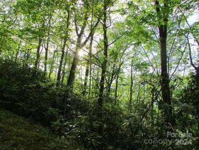 Mountain View is yours from this 1.43 Acre lot. Lot 5, Unit 5 of on Mt. Mitchell Golf Course in North Carolina - for sale on GolfHomes.com, golf home, golf lot