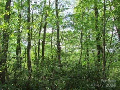 Mountain View is yours from this 1.43 Acre lot. Lot 5, Unit 5 of on Mt. Mitchell Golf Course in North Carolina - for sale on GolfHomes.com, golf home, golf lot