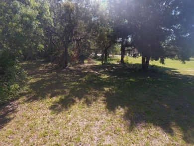 ABOVE PAR!!!  Two vacant lots on the golf course.  Edging the on Chiefland Golf and Country Club in Florida - for sale on GolfHomes.com, golf home, golf lot