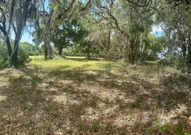 ABOVE PAR!!!  Two vacant lots on the golf course.  Edging the on Chiefland Golf and Country Club in Florida - for sale on GolfHomes.com, golf home, golf lot