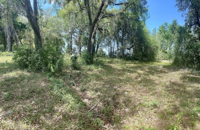 ABOVE PAR!!!  Two vacant lots on the golf course.  Edging the on Chiefland Golf and Country Club in Florida - for sale on GolfHomes.com, golf home, golf lot