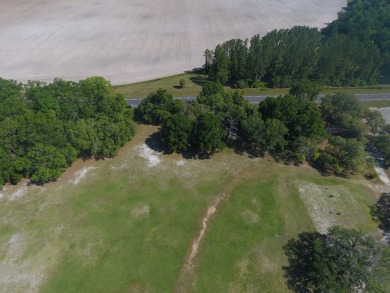 ABOVE PAR!!!  Two vacant lots on the golf course.  Edging the on Chiefland Golf and Country Club in Florida - for sale on GolfHomes.com, golf home, golf lot