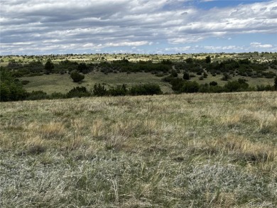 Great Price! Located in Colorado City, this 1/2 acre lot is on Hollydot Golf Course in Colorado - for sale on GolfHomes.com, golf home, golf lot