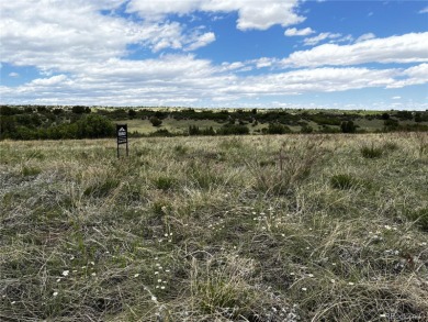 Great Price! Located in Colorado City, this 1/2 acre lot is on Hollydot Golf Course in Colorado - for sale on GolfHomes.com, golf home, golf lot