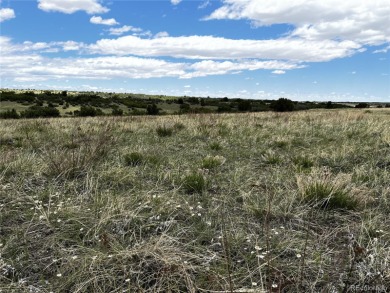 Great Price! Located in Colorado City, this 1/2 acre lot is on Hollydot Golf Course in Colorado - for sale on GolfHomes.com, golf home, golf lot