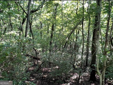 Build your dream home on 2.14 acres of prime land nestled inside on The Orchard Golf and Country Club in Georgia - for sale on GolfHomes.com, golf home, golf lot