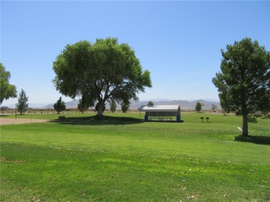 LARGE LOT WITH WATER & POWER TO THE PROPERTY LINE. This Lot Is on Valle Vista Golf Course in Arizona - for sale on GolfHomes.com, golf home, golf lot