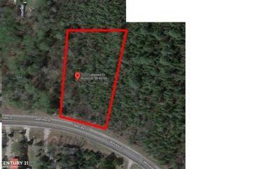 This beautiful mature parcel runs along a paved county road with on Wildwood Lakes in Michigan - for sale on GolfHomes.com, golf home, golf lot