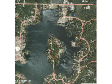 This beautiful mature parcel runs along a paved county road with on Wildwood Lakes in Michigan - for sale on GolfHomes.com, golf home, golf lot