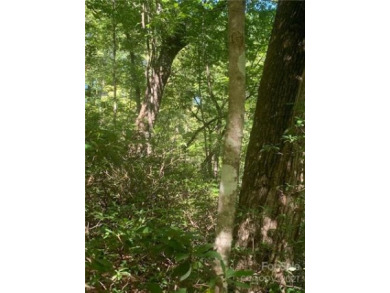 This easy access lot is located at the end of the cul-de-sac on on Rumbling Bald Resort on Lake Lure in North Carolina - for sale on GolfHomes.com, golf home, golf lot
