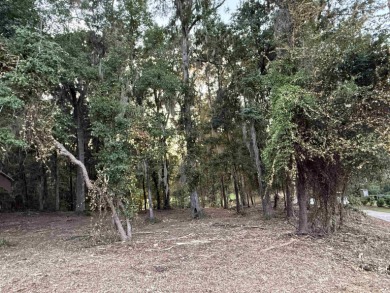 81 acres PARTIALLY CLEARED to build a one-of-a-kind home on The Golf Club At Summerbrooke in Florida - for sale on GolfHomes.com, golf home, golf lot