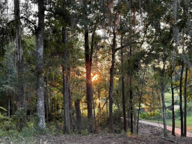 81 acres PARTIALLY CLEARED to build a one-of-a-kind home on The Golf Club At Summerbrooke in Florida - for sale on GolfHomes.com, golf home, golf lot