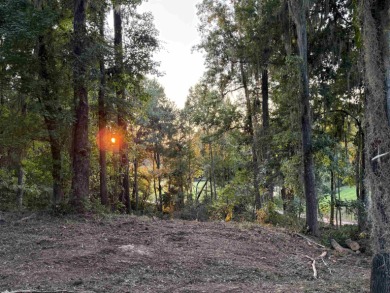 81 acres PARTIALLY CLEARED to build a one-of-a-kind home on The Golf Club At Summerbrooke in Florida - for sale on GolfHomes.com, golf home, golf lot
