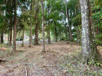81 acres PARTIALLY CLEARED to build a one-of-a-kind home on The Golf Club At Summerbrooke in Florida - for sale on GolfHomes.com, golf home, golf lot