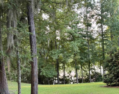 81 acres PARTIALLY CLEARED to build a one-of-a-kind home on The Golf Club At Summerbrooke in Florida - for sale on GolfHomes.com, golf home, golf lot