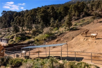 Rare opportunity in Pine Mountain Club! This 12,960 sq ft R-3 on Pine Mountain Club in California - for sale on GolfHomes.com, golf home, golf lot