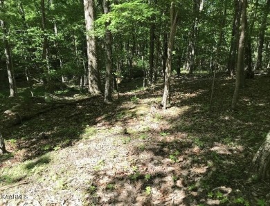 Unique oversized lot bordering a large parcel of privately owned on Heatherhurst Golf Course in Tennessee - for sale on GolfHomes.com, golf home, golf lot