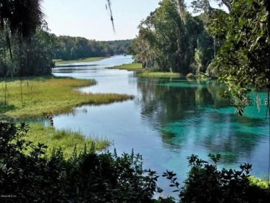 WOW !! This is the one you have been looking for. When you enter on Rainbow Springs Golf and Country Club in Florida - for sale on GolfHomes.com, golf home, golf lot
