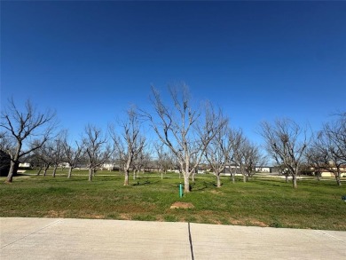 FLY IN TO THE LANDINGS 66TE  SEE THIS READY TO BUILD LOT BEFORE on Pecan Plantation Country Club in Texas - for sale on GolfHomes.com, golf home, golf lot