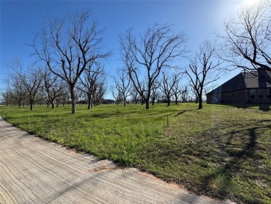 FLY IN TO THE LANDINGS 66TE  SEE THIS READY TO BUILD LOT BEFORE on Pecan Plantation Country Club in Texas - for sale on GolfHomes.com, golf home, golf lot