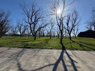 FLY IN TO THE LANDINGS 66TE  SEE THIS READY TO BUILD LOT BEFORE on Pecan Plantation Country Club in Texas - for sale on GolfHomes.com, golf home, golf lot