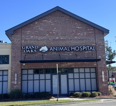 Single-level living in Grand Oaks Plantation awaits. With a on Shadowmoss Plantation Golf Club in South Carolina - for sale on GolfHomes.com, golf home, golf lot