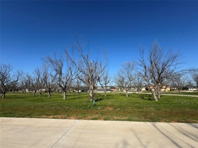 FLY IN  SEE THIS READY TO BUILD LOT BEFORE IT'S GONE! IF YOU on Pecan Plantation Country Club in Texas - for sale on GolfHomes.com, golf home, golf lot