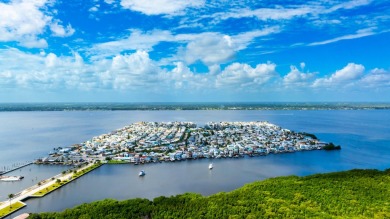 OCEAN ACCESS WIDE WATERFRONT PRIVATE DOCK HOME! Experience the on Island Dunes Country Club in Florida - for sale on GolfHomes.com, golf home, golf lot