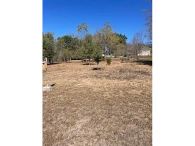 Level lot with view, located on the island, close to rec. center on Holiday Island Executive Golf Course in Arkansas - for sale on GolfHomes.com, golf home, golf lot