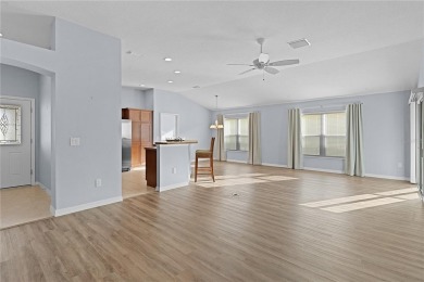 ~NEW PRICE REDUCTION!~ ~2016 ROOF~ ~GLASS ENCLOSED LANAI~ ~GOLF on The Links of Spruce Creek in Florida - for sale on GolfHomes.com, golf home, golf lot