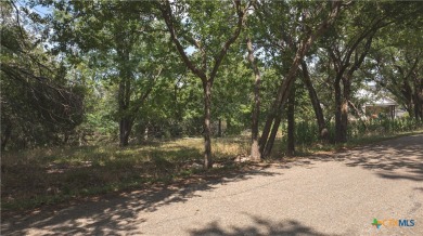Don't miss your chance to seize a rare opportunity for a home on Mill Creek Golf Club in Texas - for sale on GolfHomes.com, golf home, golf lot