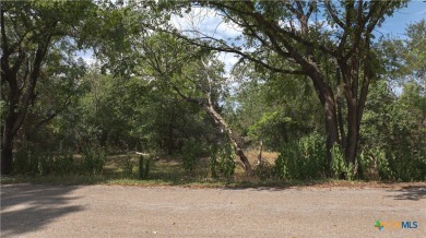 Don't miss your chance to seize a rare opportunity for a home on Mill Creek Golf Club in Texas - for sale on GolfHomes.com, golf home, golf lot