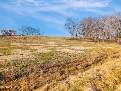 Brand New Construction in Tennessee National - Golf, Marina, and on Tennessee National Golf Club in Tennessee - for sale on GolfHomes.com, golf home, golf lot
