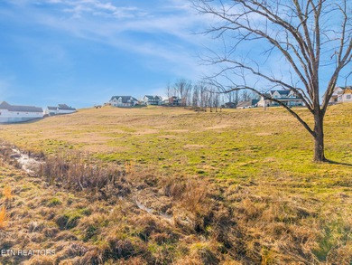 Brand New Construction in Tennessee National - Golf, Marina, and on Tennessee National Golf Club in Tennessee - for sale on GolfHomes.com, golf home, golf lot