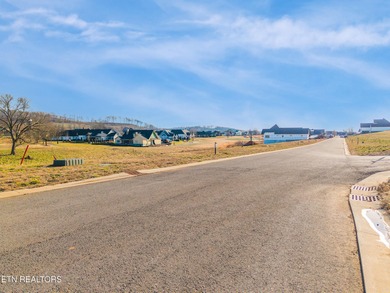 Brand New Construction in Tennessee National - Golf, Marina, and on Tennessee National Golf Club in Tennessee - for sale on GolfHomes.com, golf home, golf lot