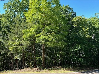 Fantastic easy build 1.16 acre lot located in the Wildcat on Big Canoe Golf Club - Cherokee in Georgia - for sale on GolfHomes.com, golf home, golf lot