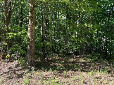 Fantastic easy build 1.16 acre lot located in the Wildcat on Big Canoe Golf Club - Cherokee in Georgia - for sale on GolfHomes.com, golf home, golf lot