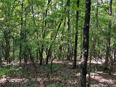 Fantastic easy build 1.16 acre lot located in the Wildcat on Big Canoe Golf Club - Cherokee in Georgia - for sale on GolfHomes.com, golf home, golf lot