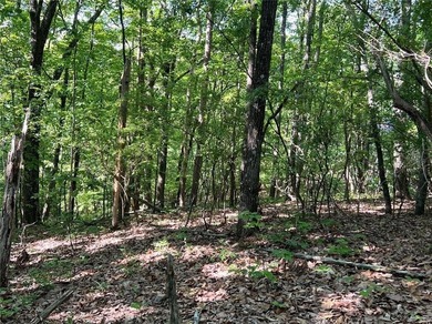 Fantastic easy build 1.16 acre lot located in the Wildcat on Big Canoe Golf Club - Cherokee in Georgia - for sale on GolfHomes.com, golf home, golf lot