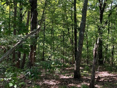 Fantastic easy build 1.16 acre lot located in the Wildcat on Big Canoe Golf Club - Cherokee in Georgia - for sale on GolfHomes.com, golf home, golf lot