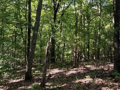 Fantastic easy build 1.16 acre lot located in the Wildcat on Big Canoe Golf Club - Cherokee in Georgia - for sale on GolfHomes.com, golf home, golf lot